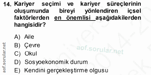 14. soru: Kariyer seçimi ve kariyer süreçlerinin oluşumunda bireyi yönlendiren içsel faktörlerden en önemlisi_aşağıdakilerden h…