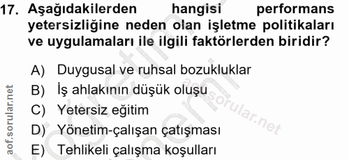 17. soru: Aşağıdakilerden hangisi performans yetersizliğine neden olan işletme politikaları ve uygulamaları ile ilgili faktörle…