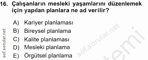 16. soru: Çalışanların mesleki yaşamlarını düzenlemek için yapılan planlara ne ad verilir? A) Kariyer planlaması B) Bireysel pl…
