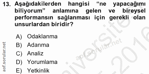 13. soru: Aşağıdakilerden hangisi "ne yapacağımı biliyorum" anlamina gelen ve bireysel performansın sağlanması için gerekli ola…
