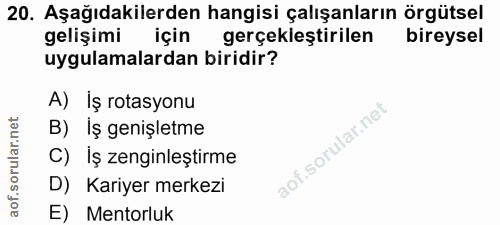 20. soru: Aşağıdakilerden hangisi çalışanların örgütsel gelişimi için gerçekleştirilen bireysel uygulamalardan biridir? A) İş r…