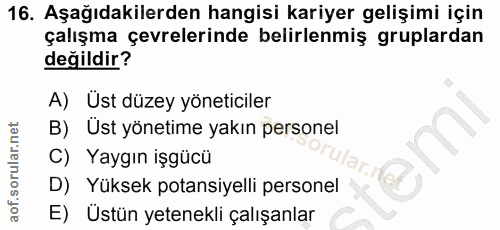 16. soru: Aşağıdakilerden hangisi kariyer gelişimi için çalışma çevrelerinde belirlenmiş gruplardan değildir? A) Üst düzey yöne…