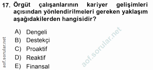 17. soru: Örgüt çalışanlarının kariyer gelişimleri açısından yönlendirilmeleri gereken yaklaşım aşağıdakilerden hangisidir? A)…