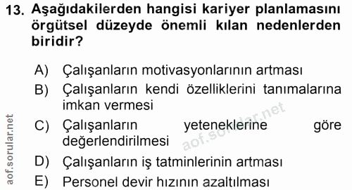 13. soru: Aşağıdakilerden hangisi kariyer planlamasını örgütsel düzeyde önemli kılan nedenlerden biridir? A) Çalışanların motiv…