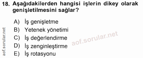 18. soru: Aşağıdakilerden hangisi işlerin dikey olarak genişletilmesini sağlar? A) Iş genişletme B) Yetenek yönetimi C) Iş değe…