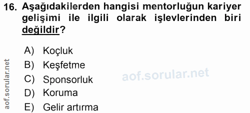 16. soru: Aşağıdakilerden hangisi mentorluğun kariyer gelişimi ile ilgili olarak işlevlerinden biri değildir? A) Koçluk B) Keşf…