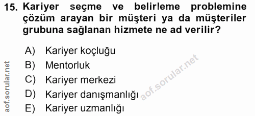15. soru: Kariyer seçme ve belirleme problemine çözüm arayan bir müşteri ya da müşteriler grubuna sağlanan hizmete ne ad verili…