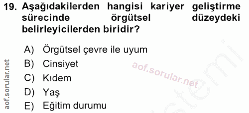 19. soru: Aşağıdakilerden hangisi kariyer geliştirme sürecinde örgütsel düzeydeki belirleyicilerden biridir? A) Orgütsel çevre…