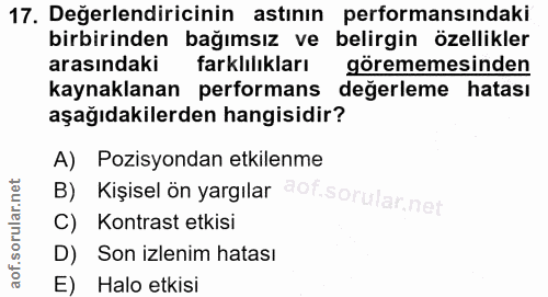 17. soru: Değerlendiricinin astının performansındaki birbirinden bağımsız ve belirgin özellikler arasındaki farklılıkları görem…