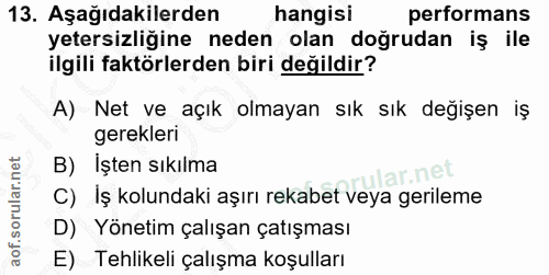 13. soru: Aşağıdakilerden hangisi performans yetersizliğine neden olan doğrudan iş ile ilgili faktörlerden biri değildir? A) Ne…