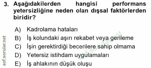 3. soru: Aşağıdakilerden hangisi performans yetersizliğine neden olan dışsal faktörlerden biridir? A) Kadrolama hataları B) İş…