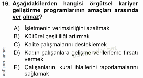 16. soru: Aşağıdakilerden hangisi örgütsel kariyer geliştirme programlarının amaçları arasında yer almaz? A) İşletmenin verimsi…