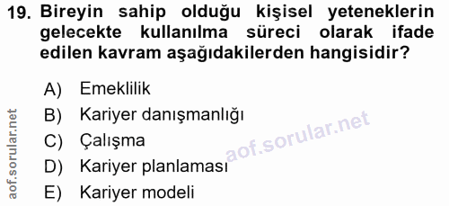 19. soru: Bireyin sahip olduğu kişisel yeteneklerin gelecekte kullanılma süreci olarak ifade edilen kavram aşağıdakilerden hang…