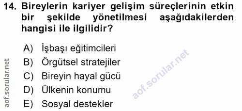 14. soru: Bireylerin kariyer gelişim süreçlerinin etkin bir şekilde yönetilmesi aşağıdakilerden hangisi ile ilgilidir? A) İşbaş…