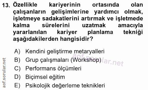 13. soru: Özellikle kariyerinin ortasında olan çalışanların gelişimlerine yardımcı olmak, işletmeye sadakatlerini artırmak ve i…