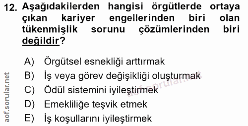 12. soru: Aşağıdakilerden hangisi örgütlerde ortaya çıkan kariyer engellerinden biri olan tükenmişlik sorunu çözümlerinden biri…