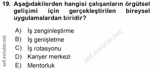 19. soru: Aşağıdakilerden hangisi çalışanların örgütsel gelişimi için gerçekleştirilen bireysel uygulamalardan biridir? A) İş z…
