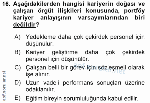 16. soru: Aşağıdakilerden hangisi kariyerin doğası ve çalışan örgüt ilişkileri konusunda, portföy kariyer anlayışının varsayıml…