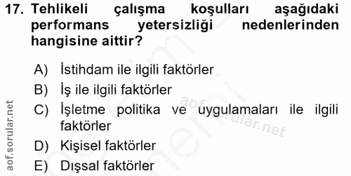 17. soru: Tehlikeli çalışma koşulları aşağıdaki performans yetersizliği nedenlerinden hangisine aittir? A) Istihdam ile ilgili…