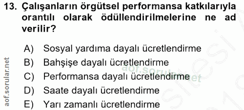 13. soru: Çalışanların örgütsel performansa katkılarıyla orantılı olarak ödüllendirilmelerine ne ad verilir? A) Sosyal yardıma…