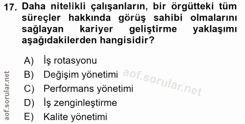17. soru: Daha nitelikli çalışanların, bir örgütteki tüm süreçler hakkında görüş sahibi olmalarını sağlayan kariyer geliştirme…