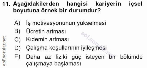 11. soru: Aşağıdakilerden hangisi kariyerin içsel boyutuna örnek bir durumdur? A) İş motivasyonunun yükselmesi B) Ücretin artma…