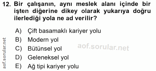 12. soru: Bir çalışanın, aynı meslek alanı içinde bir işten diğerine dikey olarak yukarıya doğru ilerlediği yola ne ad verilir?…