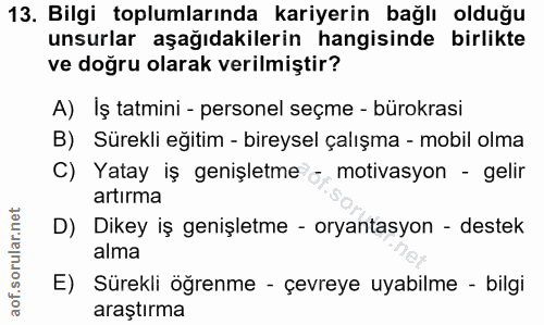 13. soru: Bilgi toplumlarında kariyerin bağlı olduğu unsurlar aşağıdakilerin hangisinde birlikte ve doğru olarak verilmiştir? A…