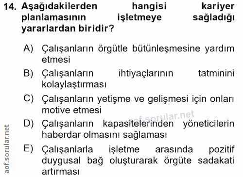 14. soru: Aşağıdakilerden hangisi kariyer planlamasının işletmeye sağladığı yararlardan biridir? A) Çalışanların örgütle bütünl…