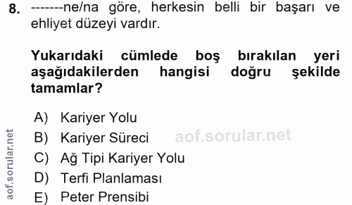 8. soru: --ne/na göre, herkesin belli bir başarı ve ehliyet düzeyi vardır. Yukarıdaki cümlede boş bırakılan yeri aşağıdakilerd…