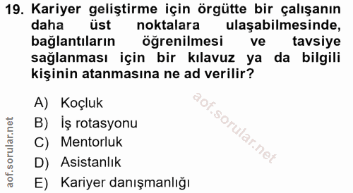 19. soru: Kariyer geliştirme için örgütte bir çalışanın daha üst noktalara ulaşabilmesinde, bağlantıların öğrenilmesi ve tavsiy…