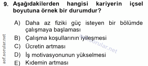 9. soru: Aşağıdakilerden hangisi kariyerin içsel boyutuna örnek bir durumdur? A) Daha az fiziki güç isteyen bir bölümde çalışm…