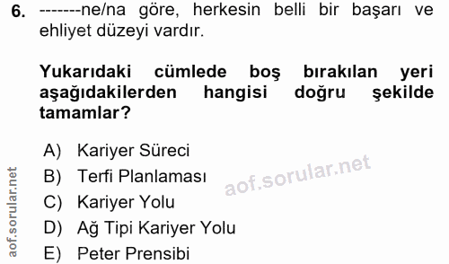 6. soru: ------ne/na göre, herkesin belli bir başarı ve ehliyet düzeyi vardır. Yukarıdaki cümlede boş birakılan yeri aşağıdaki…