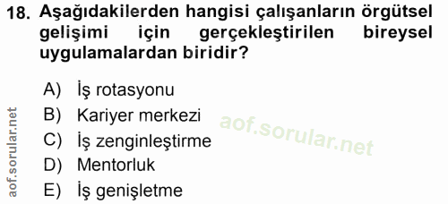 18. soru: Aşağıdakilerden hangisi çalışanların örgütsel gelişimi için gerçekleştirilen bireysel uygulamalardan biridir? A) İş r…