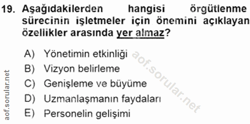 19. soru: Aşağıdakilerden hangisi örgütlenme sürecinin işletmeler için önemini açıklayan özellikler arasında yer almaz? A) Yöne…