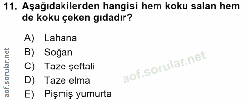 11. soru: Aşağıdakilerden hangisi hem koku salan hem de koku çeken gıdadır? A) Lahana B) Soğan C) Taze şeftali D) Taze elma E)…