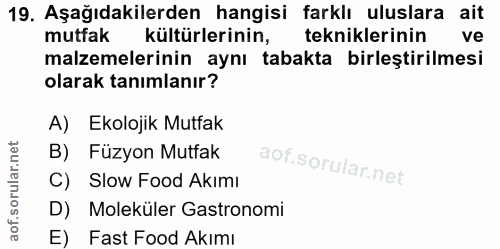 19. soru: Aşağıdakilerden hangisi farklı uluslara ait mutfak kültürlerinin, tekniklerinin ve malzemelerinin aynı tabakta birleş…