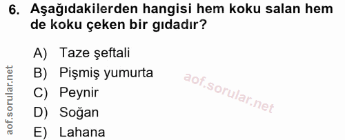 6. soru: Aşağıdakilerden hangisi hem koku salan hem de koku çeken bir gıdadır? A) Taze şeftali B) Pişmiş yumurta C) Peynir D)…