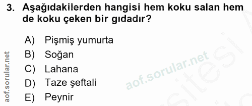 3. soru: Aşağıdakilerden hangisi hem koku salan hem de koku çeken bir gıdadır? A) Pişmiş yumurta B) Soğan C) Lahana D) Taze şe…