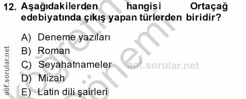 12. soru: Aşağıdakilerden hangisi Ortaçağ edebiyatında çıkış yapan türlerden biridir? A) Deneme yazıları B) Roman Cat. C) Seyah…