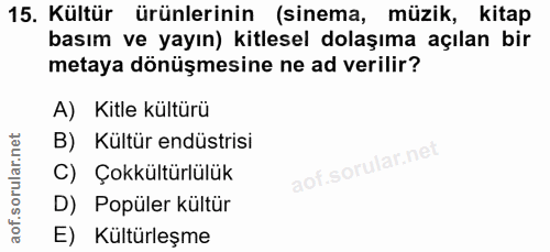 15. soru: Kültür ürünlerinin (sinema, müzik, kitap basım ve yayın) kitlesel dolaşıma açılan bir metaya dönüşmesine ne ad verili…