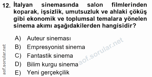 12. soru: Italyan sinemasında salon filmlerinden koparak, işsizlik, umutsuzluk ve ahlaki çöküş gibi ekonomik ve toplumsal temal…