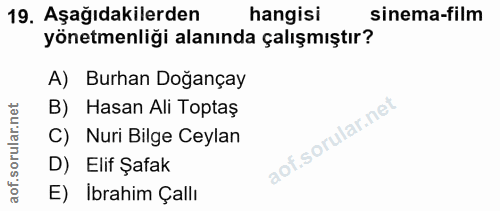 19. soru: Aşağıdakilerden hangisi sinema-film yönetmenliği alanında çalışmıştır? A) Burhan Doğançay orular.net B) Hasan Ali Top…