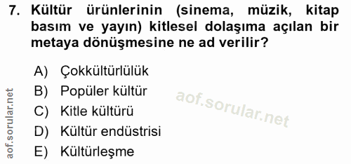 7. soru: Kültür ürünlerinin (sinema, müzik, kitap basım ve yayın) kitlesel dolaşıma açılan bir metaya dönüşmesine ne ad verili…