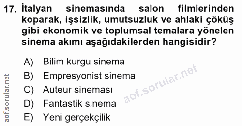 17. soru: İtalyan sinemasında salon filmlerinden koparak, işsizlik, umutsuzluk ve ahlaki çöküş gibi ekonomik ve toplumsal temal…