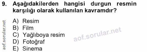 9. soru: Aşağıdakilerden hangisi durgun resmin karşılığı olarak kullanılan kavramdır? A) Resim B) Film C) Yağlıboya resim D) F…