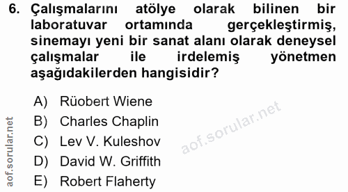 6. soru: Çalışmalarını atölye olarak : bilinen bir laboratuvar ortaminda gerçeklestirmiş, sinemayı yeni bir sanat alanı olarak…