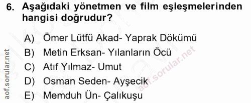 6. soru: Aşağıdaki yönetmen ve film eşleşmelerinden hangisi doğrudur? A) Ömer Lütfü Akad- Yaprak Dökümü B) Metin Erksan- Yılan…