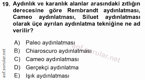 19. soru: Aydınlık ve karanlık alanlar arasındaki zıtlığın derecesine göre Rembrandt aydınlatması, Cameo aydınlatması, Siluet a…
