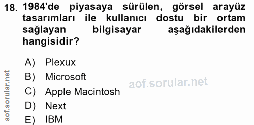 18. soru: 1984'de piyasaya sürülen, görsel arayüz tasarımları ile kullanıcı dostu bir ortam sağlayan bilgisayar aşağıdakilerden…